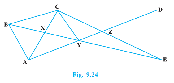 Page 95 Chapter 9 Class 9th NCERT Exemplar